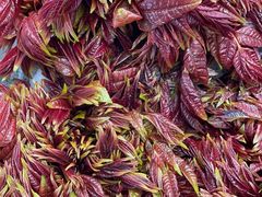 -华联商厦(火车站店)