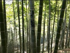 -径山寺