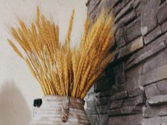-鸽子窝(青塔店)