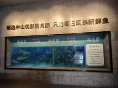 -淘米捞·米汤脆鲩鱼火锅(福田皇岗店)