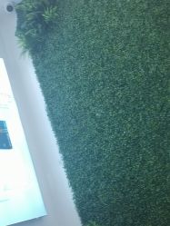 -南京医科大学友谊整形外科医院