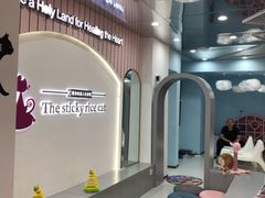 -糯米喵星人·撸猫猫舍咖啡馆(西市场嘉华店)