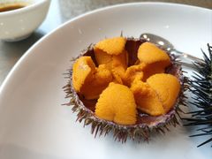 海胆-常鲜楼常来尝鲜海胆馆(星海店)