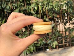 乳酪饼-甜嘟嘟烘焙坊(舒城路店)