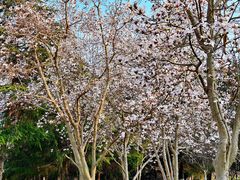 -白塘生态植物园