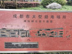 -神仙树公园