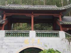 -广州神农草堂中医药博物馆