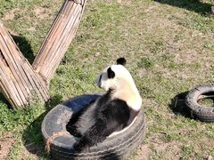 -沈阳森林动物园