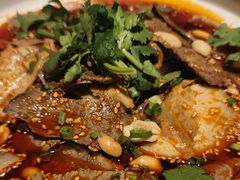 -院8里·小聚园老川菜(九眼桥店)