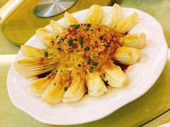 蒜茸粉丝蒸娃娃菜-清真·三德隆饭庄(桥梓口店)