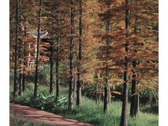 -广州市石门国家森林公园