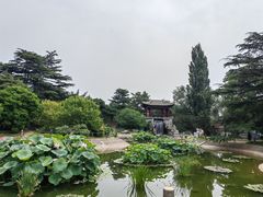 -国家植物园南园