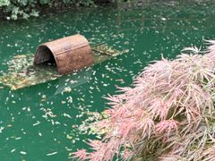 -十八棵（老龙井）御茶园(老龙井店)