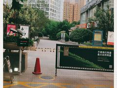 -东哥紫阳蒸盆子(旺座·现代城店)