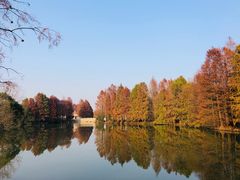 -上海海湾国家森林公园