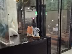 -半岛宠物医院24小时(白果林店)