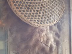 -兰溪小馆(东直门簋街店)