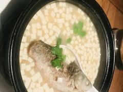 鲫鱼豆腐汤-马仕玖煲·融合菜·酥不腻烤鸭(人大店)