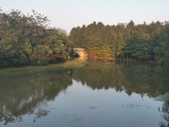 -上海海湾国家森林公园