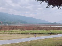 -风云岭森林公园