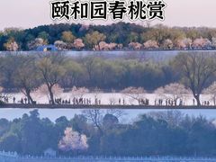-颐和园