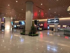 -贾特拉帕蒂·希瓦吉国际机场