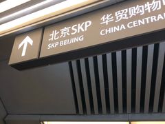 -大望路(地铁站)