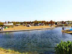 -春花秋色城市公园