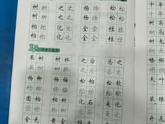 -赵汝飞练字硬笔书法(静安大融城校区)