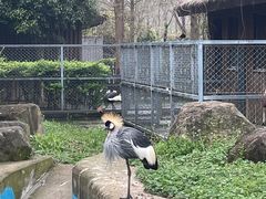 -上方山森林动物世界