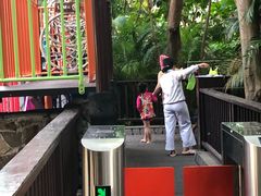 -三亚湾海居铂尔曼度假酒店