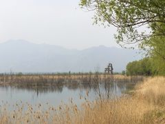 -野鸭湖国家湿地公园