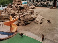 -青藏高原野生动物园
