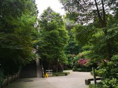 -都江堰普照寺