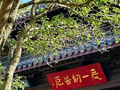 -灵谷景区