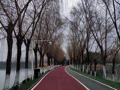 -艾溪湖湿地公园