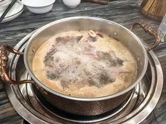 -鸽鸟轩(石岐店)