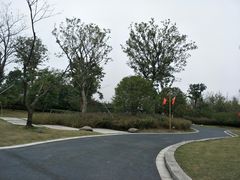 -长田漾湿地公园