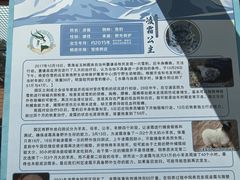 -青藏高原野生动物园
