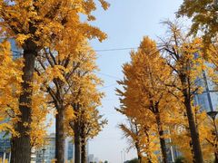-两江幸福广场