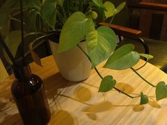 -In普舍采耳SPA馆(中英街店)