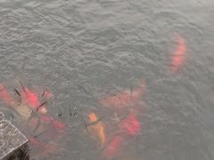-西湖天地