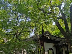 -上海醉白池公园