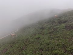-灵山
