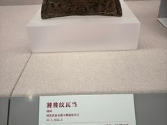 -北京大学赛克勒考古与艺术博物馆