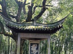 -兰亭风景区