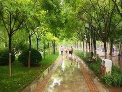 -南翠屏公园