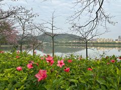 -风云岭森林公园