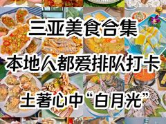 -三亚蜈支洲岛旅游区