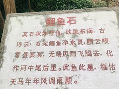 -上海佘山国家森林公园天马山园